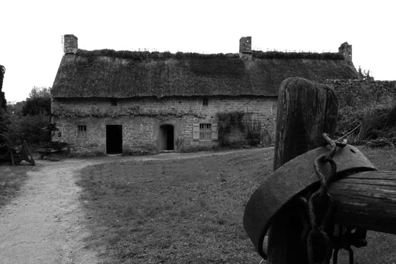 Brech